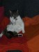 Thumbs/tn_Jacky 016.jpg